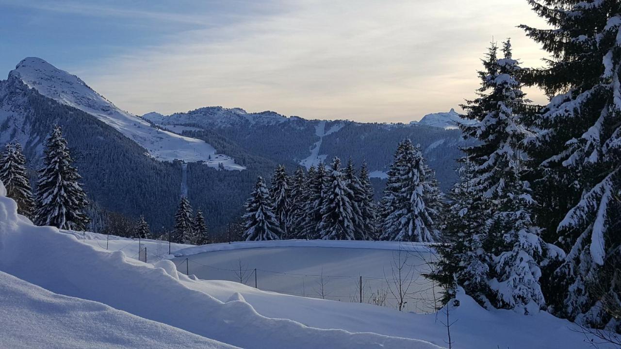 Julianna , appartements avec services Morzine Extérieur photo