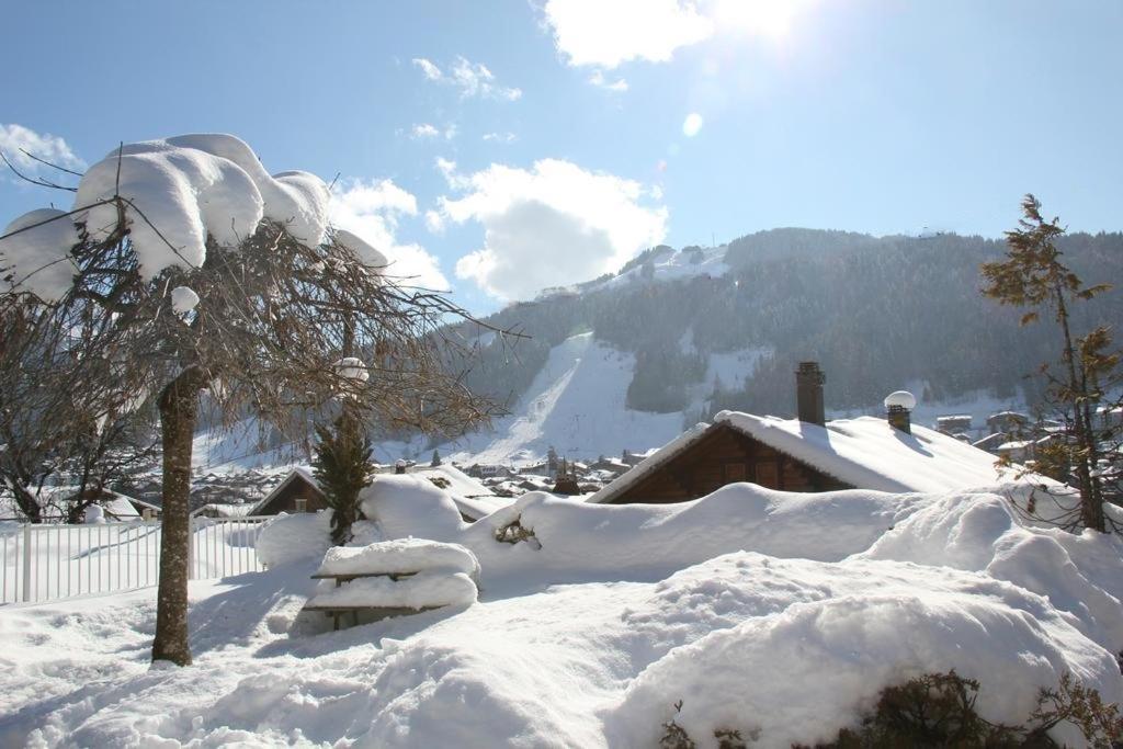Julianna , appartements avec services Morzine Extérieur photo